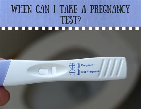 How Do Dating Pregnancy Tests Work Telegraph