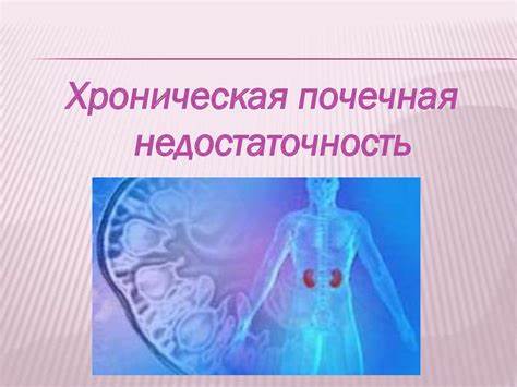 Почечная недостаточность и ее диета Хроническая почечная недостаточность - презентация онлайн Хроническая почечная недостаточность - презентация онлайн Почечная недостаточность и ее диета