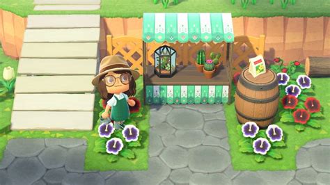 And jolly redd's treasure trawler in new horizons—visits the player's town or island occasionally and sells artwork and, prior to new leaf, unique furniture. Pin by Caarolinchis on 동물의 숲 | Animal crossing, Green ...