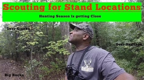 Scouting For Deer Stand Locations Youtube