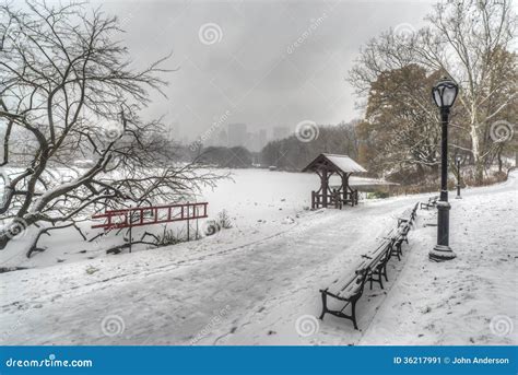 Central Park New York City During Snow Storm Stock Image Image Of