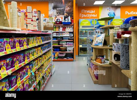 Principal 46+ images pet shop interior design ideas - br.thptnvk.edu.vn