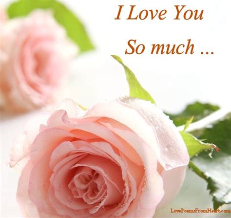 More 26 i love you wallpapers, images, photo. I Love You So Much