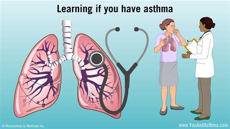 Diagnosing Asthma Mild Moderate And Severe