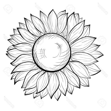 Delineate the leaves with proper shapes. Simple Sunflower Drawing at GetDrawings | Free download