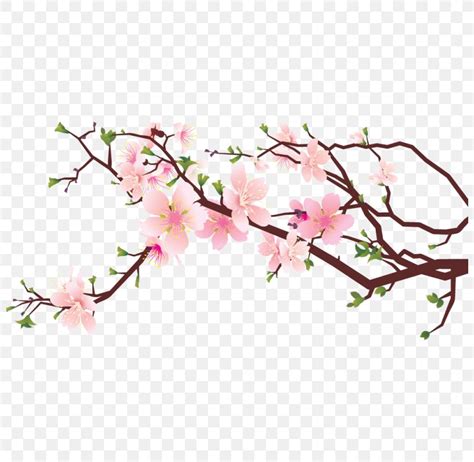 Cherry Tree Drawing Png Cherry Blossom Drawing Png And Cherry Blossom