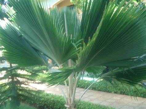 We are located at eureka towers, shop with us, shop more for. Kahawa West FGCK Ebenezer Youth FORUM - Home | Facebook