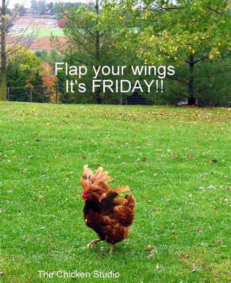 Flap Your Wings Its Friday Wings Hot Wings Chickens