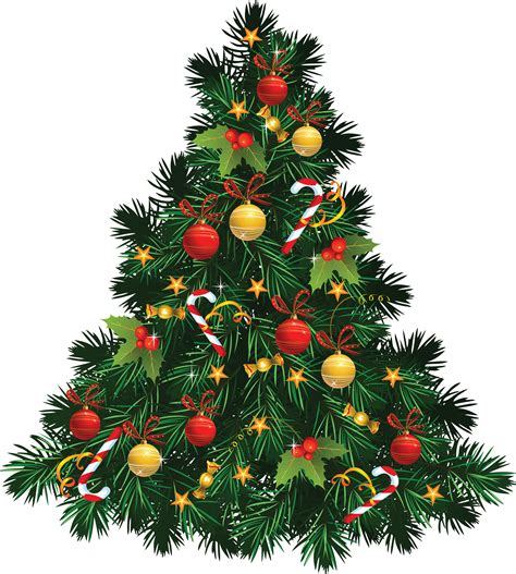 Christmas Fir Tree Png Image