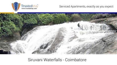 Have You Tasted The Worlds 2nd Tastiest Water Siruvani Waterfalls In