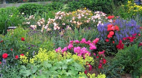 Creating A Cut Flower Garden For Fun And Profit Finegardening