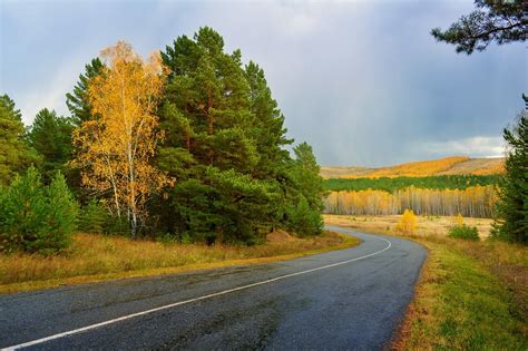Free Photo Autumn Asphalt Road Landscape Free Image On Pixabay
