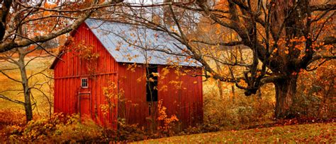 Fall Foliage In Oklahoma Okc Property Management