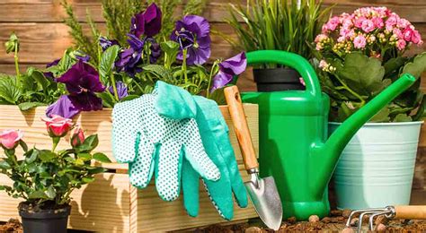 10 Essential Tools For Landscaping And Gardening All Green
