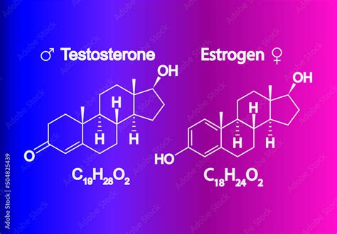 Humain Sex Hormones Molecular Formula Estrogen And Testosterone