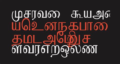 Download Kruti Tamil 010 free Font - What Font Is