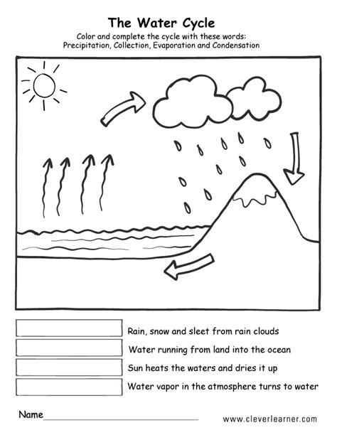 Water Cycle First Grade Worksheet