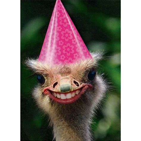 Freakishly Happy Ostrich Funny Humorous Birthday Card