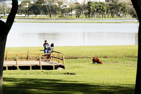 A mínima é 17º e a máxima de 27º na capital paranaense. Confira como fica o tempo em Curitiba nesta semana ...