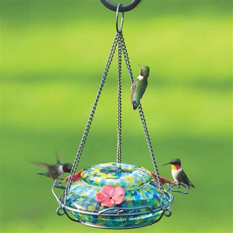 Decorative Glass Hummingbird Feeders Shelly Lighting