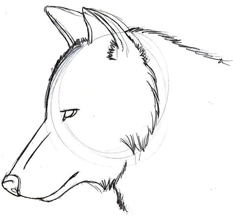 Easy Wolf Drawings