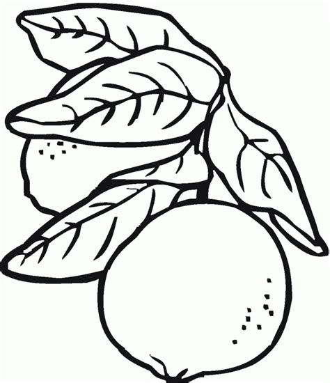 You can see the formats on the top of. Lemon coloring pages download and print for free
