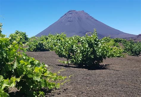 Em um amistoso preparatório visando os jogos. Cabo Verde: Destino Rural e Natural na África - Brasil Rural