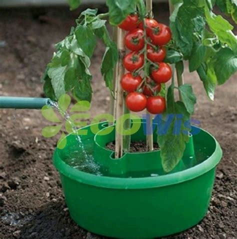 Check spelling or type a new query. China Containers to Grow Tomatoes, Tomato Grow Pot - China ...