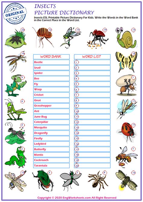 Insects Esl Printable Picture Dictionary Worksheet For Kids Image