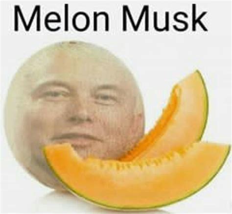 Melon Meme Guy