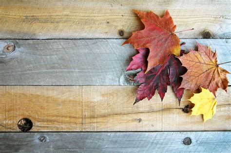 Check spelling or type a new query. 3 Fall Moonshine Flavors | Old Tennessee Distilling Company