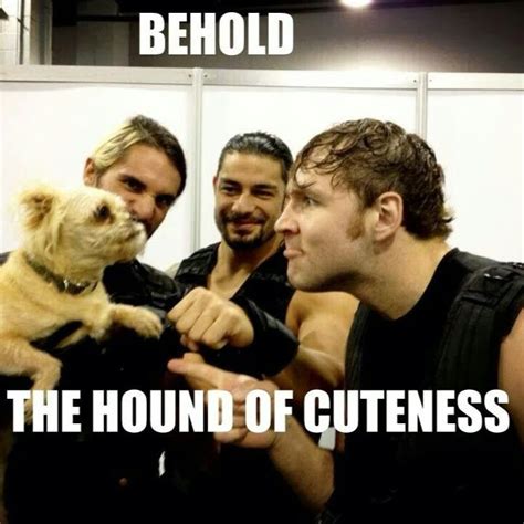 The Shields New Mascot Sorry Dean Ambrose You Have
