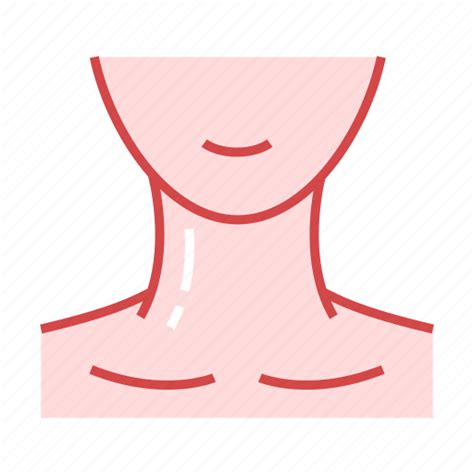 Anatomy Body Neck Icon Download On Iconfinder