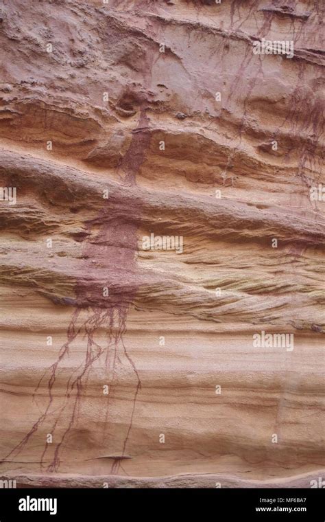 Dune Cross Bedding Sedimentary Structure In Otter Sandstone Jurassic