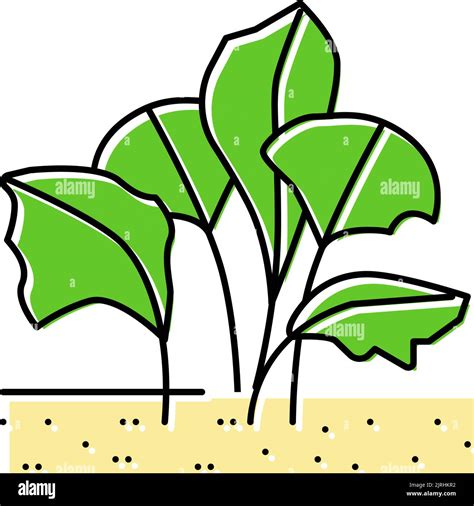 live aquatic plant aquarium fish color icon vector illustration Stock