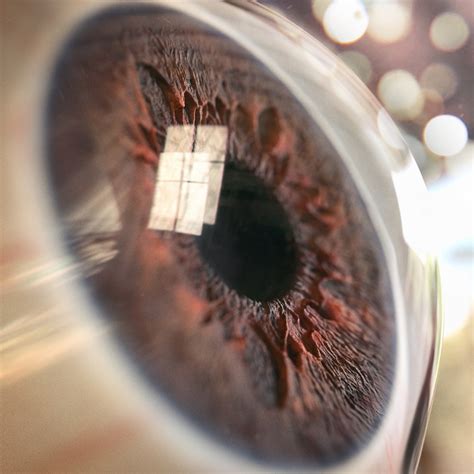 The Eye By Dushman Realistic 3d Cgsociety