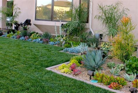 8 Must Check Desert Plants That Are Excellent For Landscaping