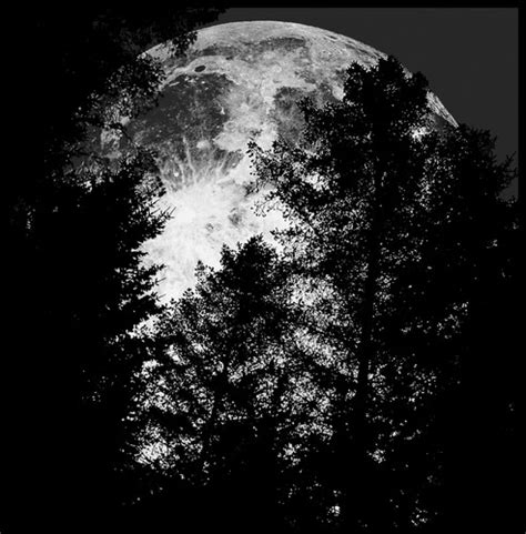 Moon Gothic Photo 35150512 Fanpop