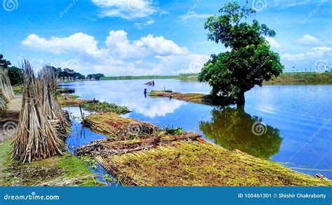 Natural Beauty Of Bangladesh Stock Image Image Of Diffrent Autum