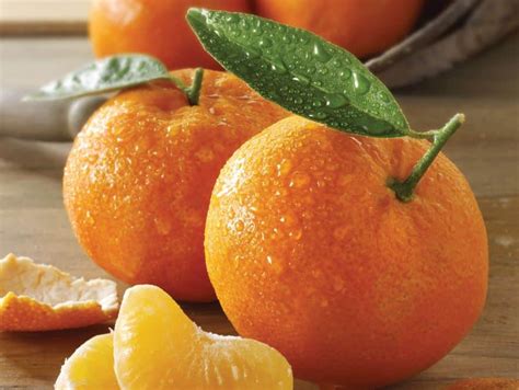 15 Types Of Oranges You Should Know