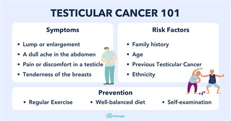 Testicular Cancer Symptoms Types Stages Causes Treatment Homage Malaysia