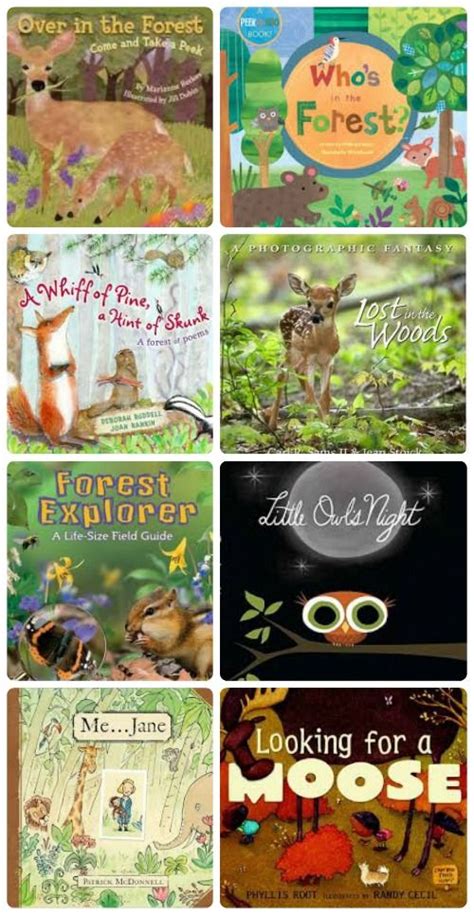 15 Fabulous Books About Forest Animals Preschool Books Classroom