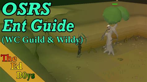 Osrs Ent Guide Wildy And Woodcutting Guild Make Money W Woodcutting