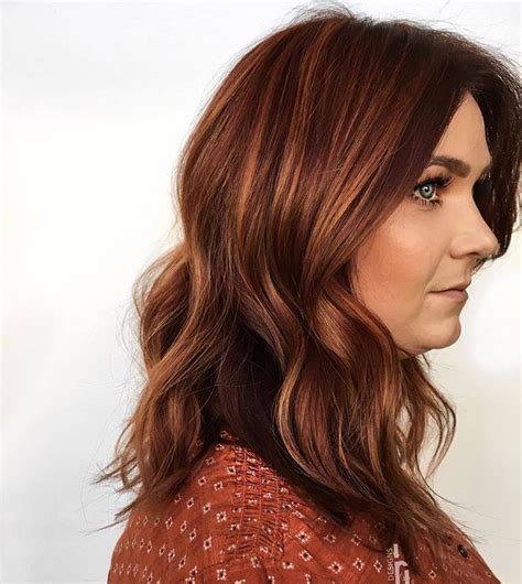 Skill Wiring Famous Cinnamon Hair Color With Highlights References