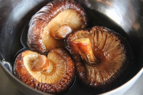 The Top Cooking Shiitake Mushrooms The Best Ideas For Recipe