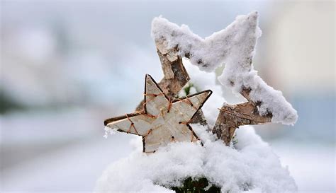 Snow Winter Wintry Star Poinsettia Christmas Cold Snowy