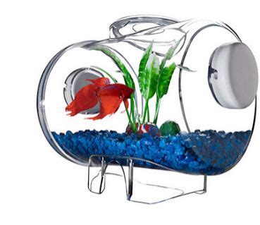 Check out our model aquarium selection for the very best in unique or custom, handmade pieces did you scroll all this way to get facts about model aquarium? Model Aquarium Toples Unik Harga Murah | Aneka Budidaya