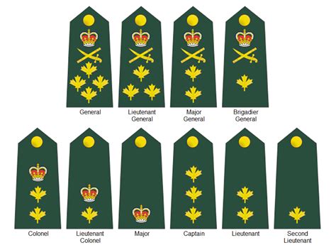 Ranks In The British Army