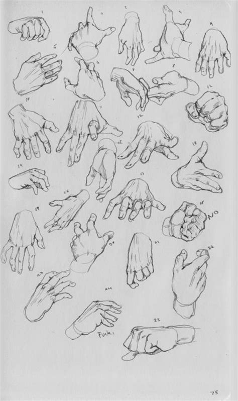 A Bunch Of Hands That Are Drawn In Black And White