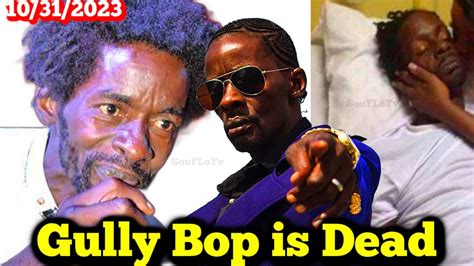rags to riches and fame and back to rags then death gully bop is gone 😭😭😔 youtube